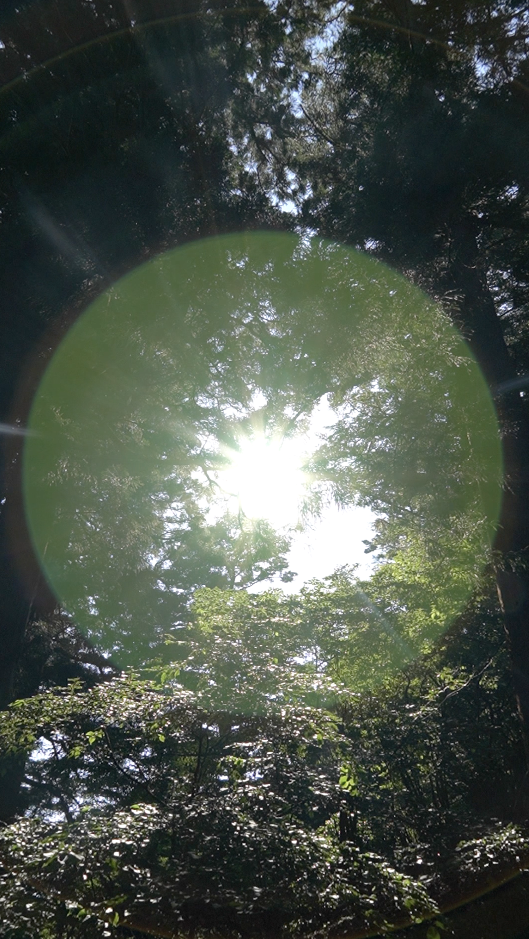 Second photograph from 円環 — circle of unconsciousness — Keigo Yoshida (吉田慧悟)