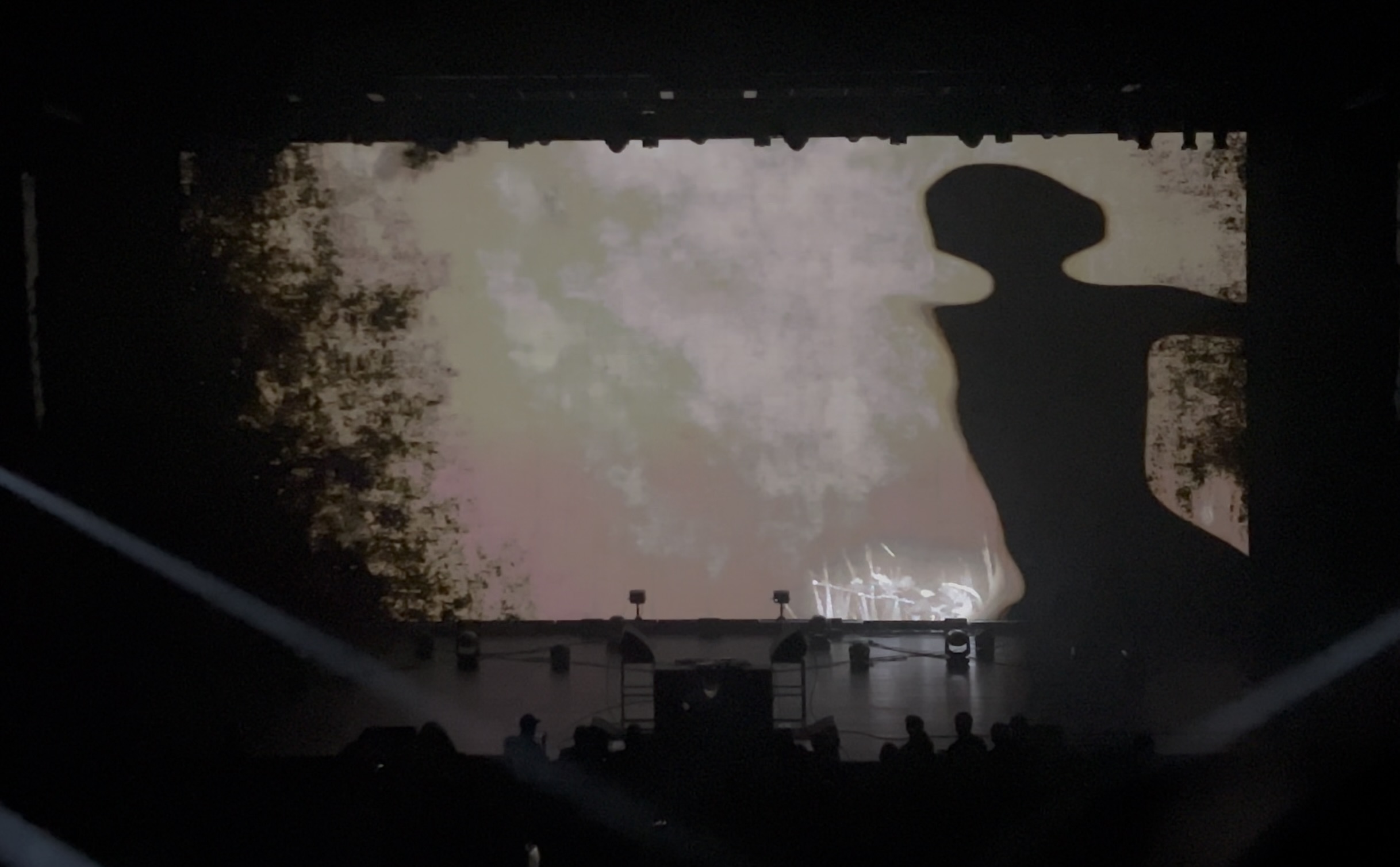 Vail at Future Frequencies Festival 2026 — projected silhouette and stage — Keigo Yoshida (吉田慧悟)